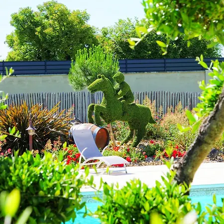 Cottage avec piscine au cœur du Saumur Champigny Souzay-Champigny Extérieur photo