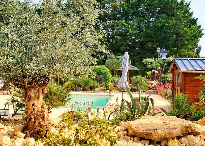 Cottage avec piscine au cœur du Saumur Champigny